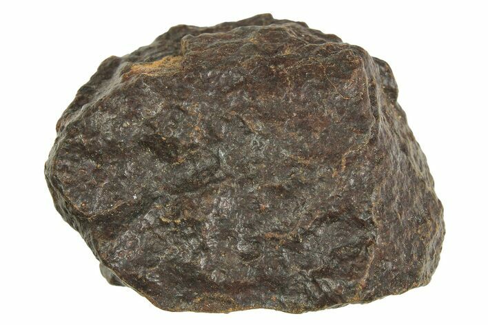 Chondrite Meteorite ( g) - Western Sahara Desert #296234